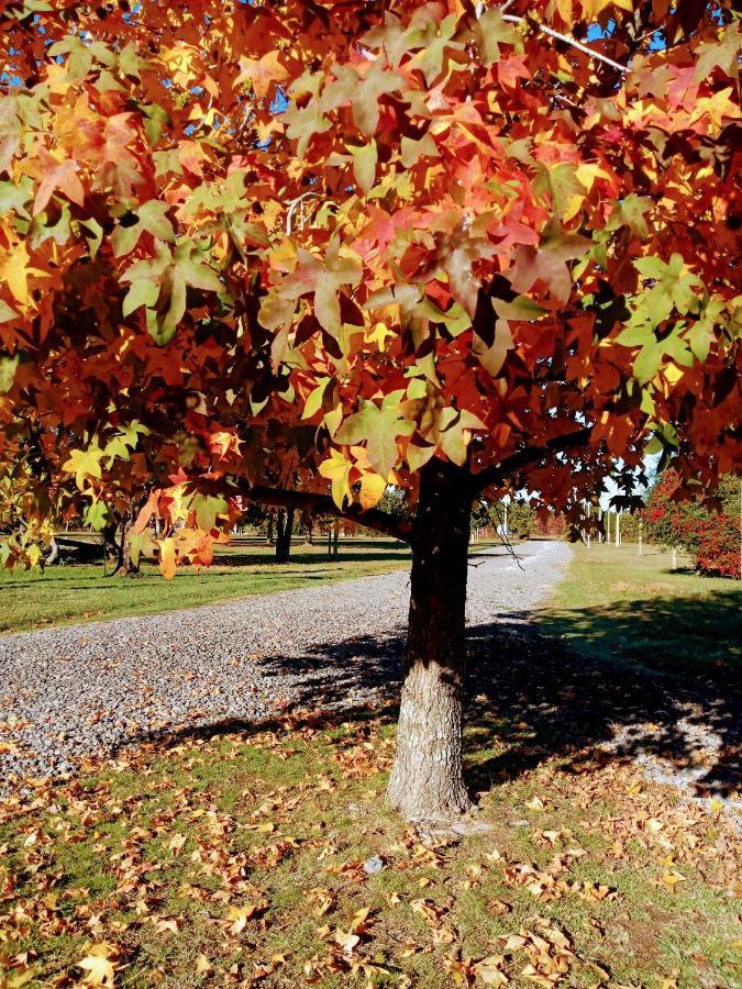 Casa De Campo Liquidambar サン・ペドロ エクステリア 写真